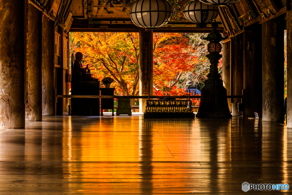 紅葉の長谷寺