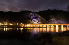 幻想的な夜