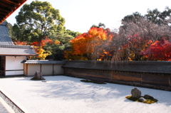 晩秋の石庭Ⅱ