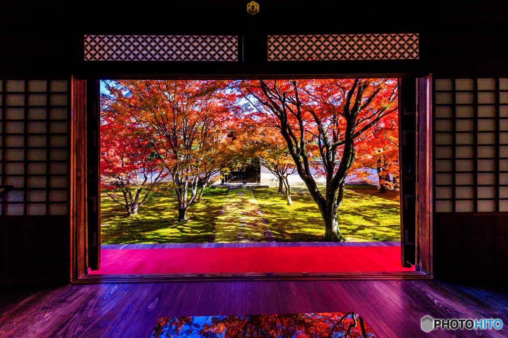 妙覚寺の額縁紅葉