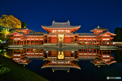 鳳凰堂ライトアップⅡ