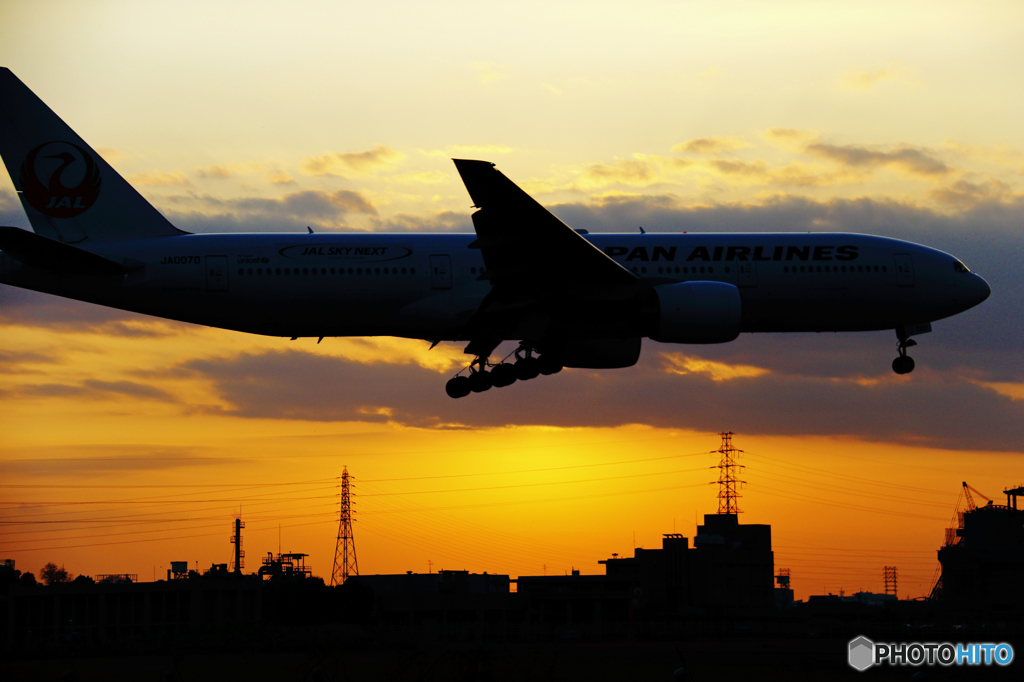 夕空を泳ぐ鯨