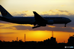 夕空を泳ぐ鯨