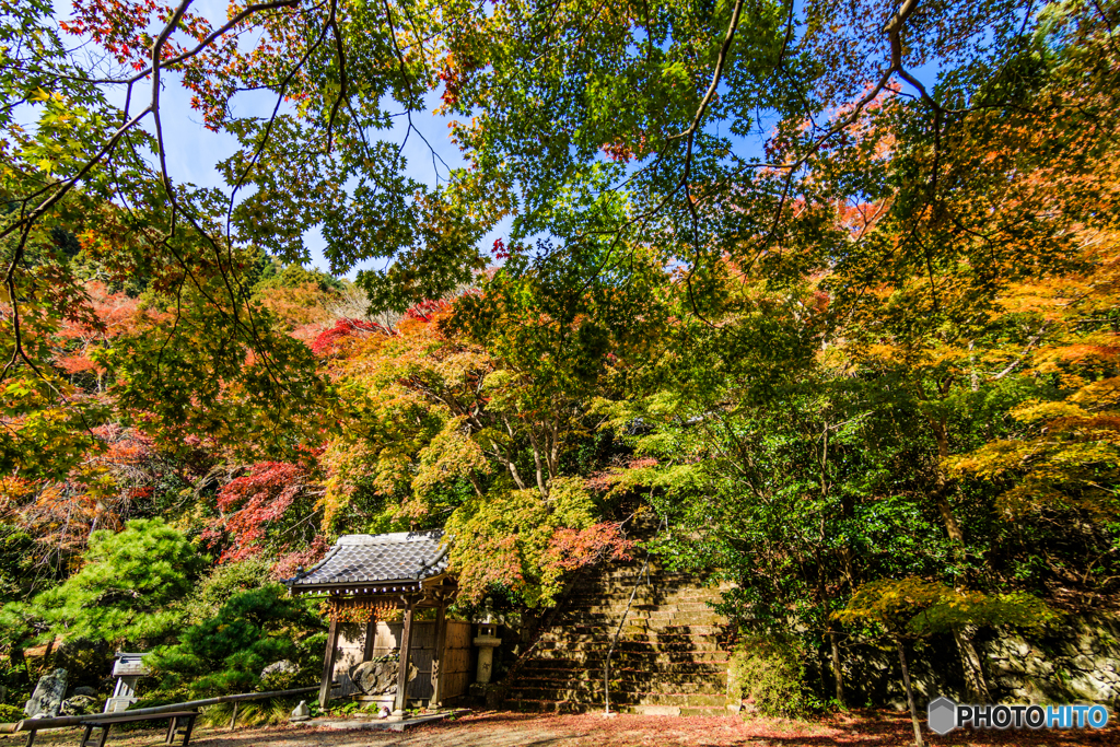 彩りの金蔵寺