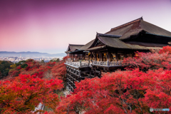 独り占めの清水寺