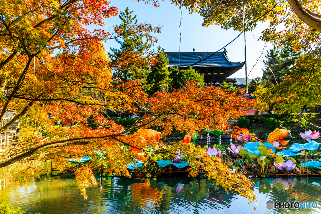 萬福寺の紅葉