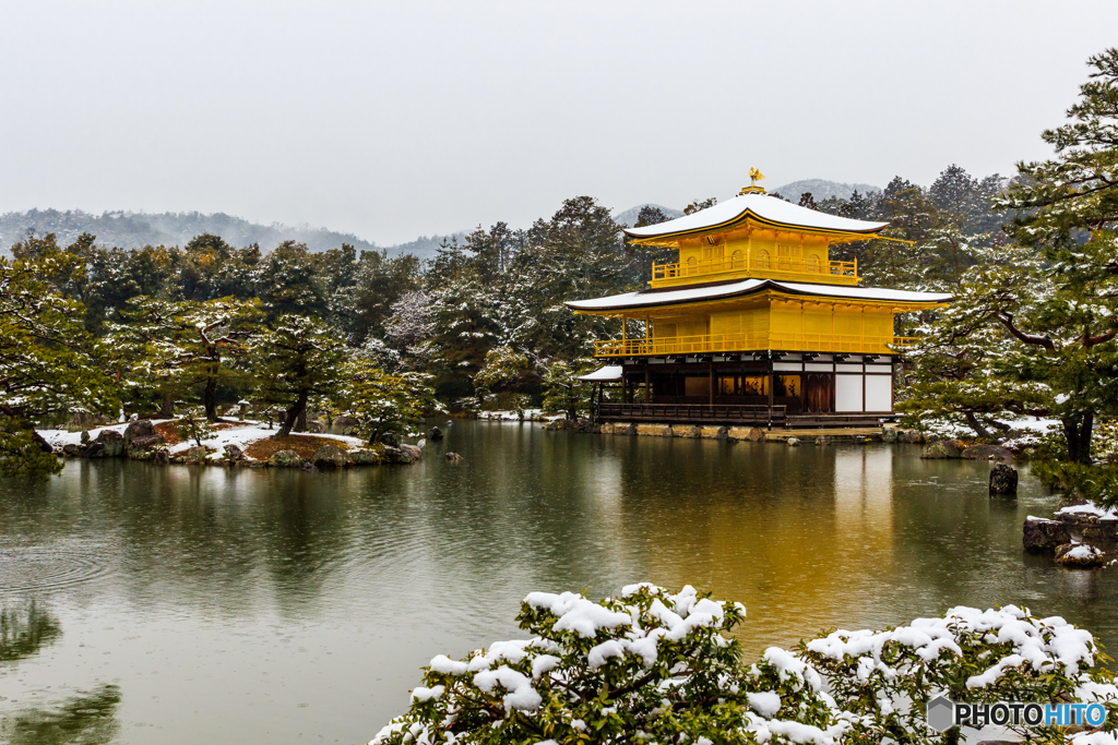 りばいばる金閣寺