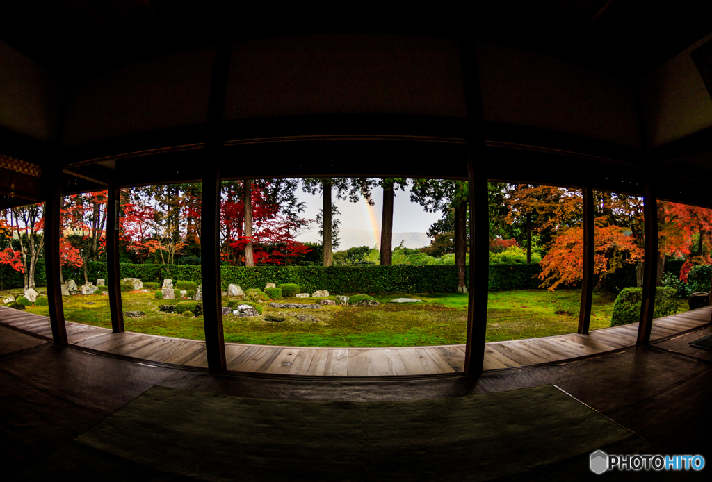 まるごと圓通寺