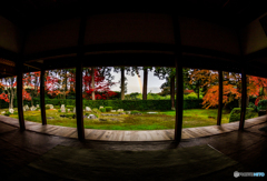 まるごと圓通寺