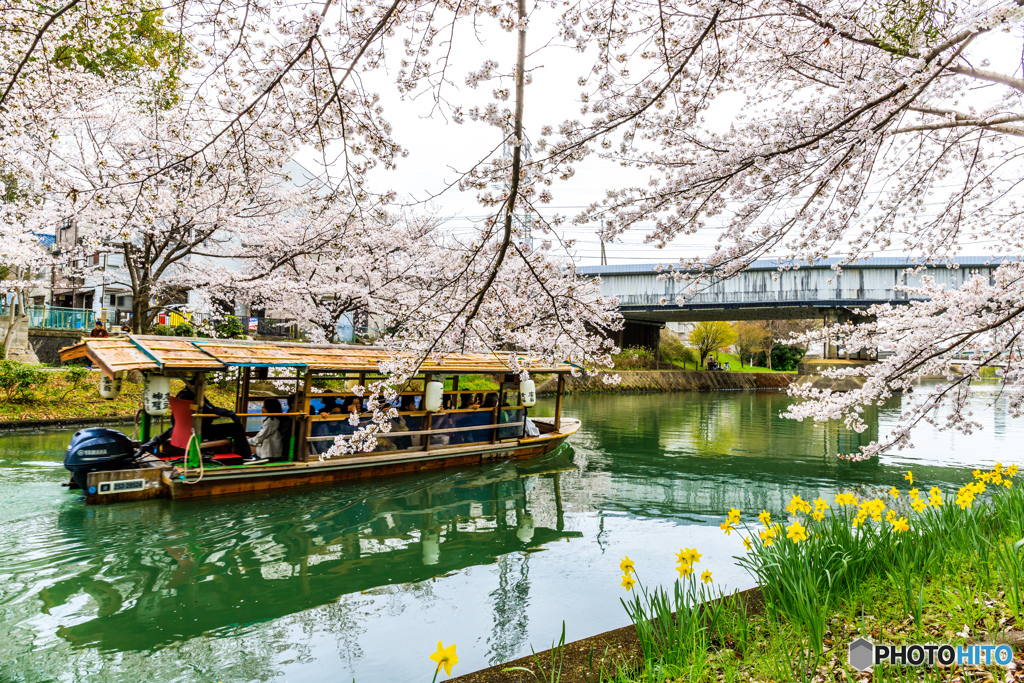 春の華を添えて