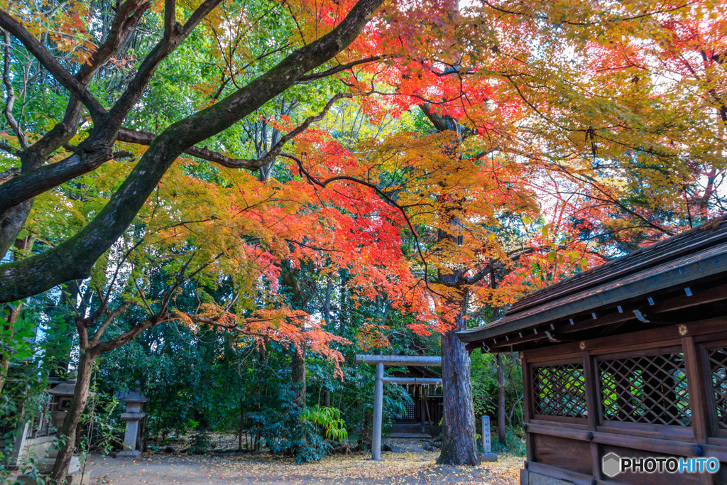 上御霊神社の境内