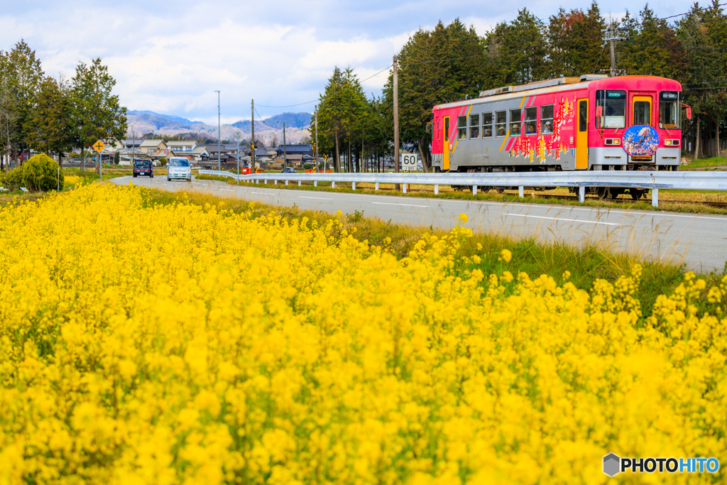 春走る北条鉄道