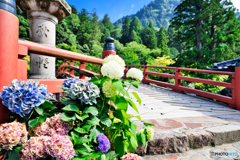 太鼓橋の夏