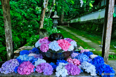 花手水
