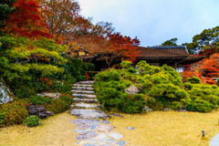 大乗閣の紅葉