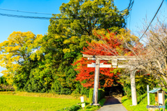 夜都岐神社の鳥居