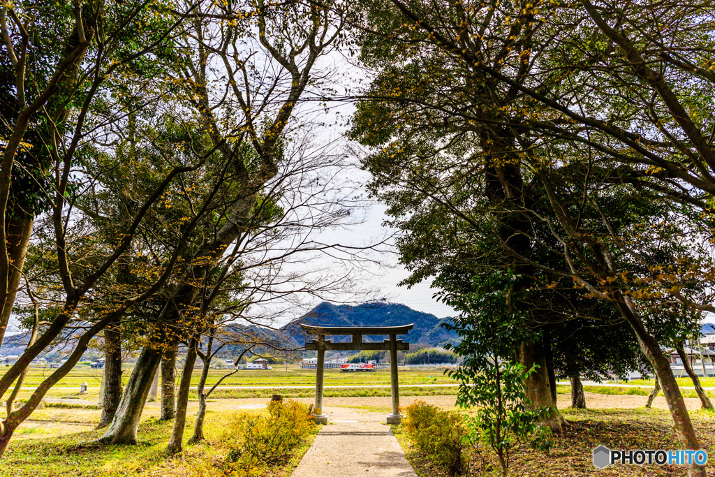 鳥居の向こうに春