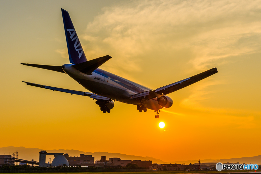 夕陽の玉ころがし