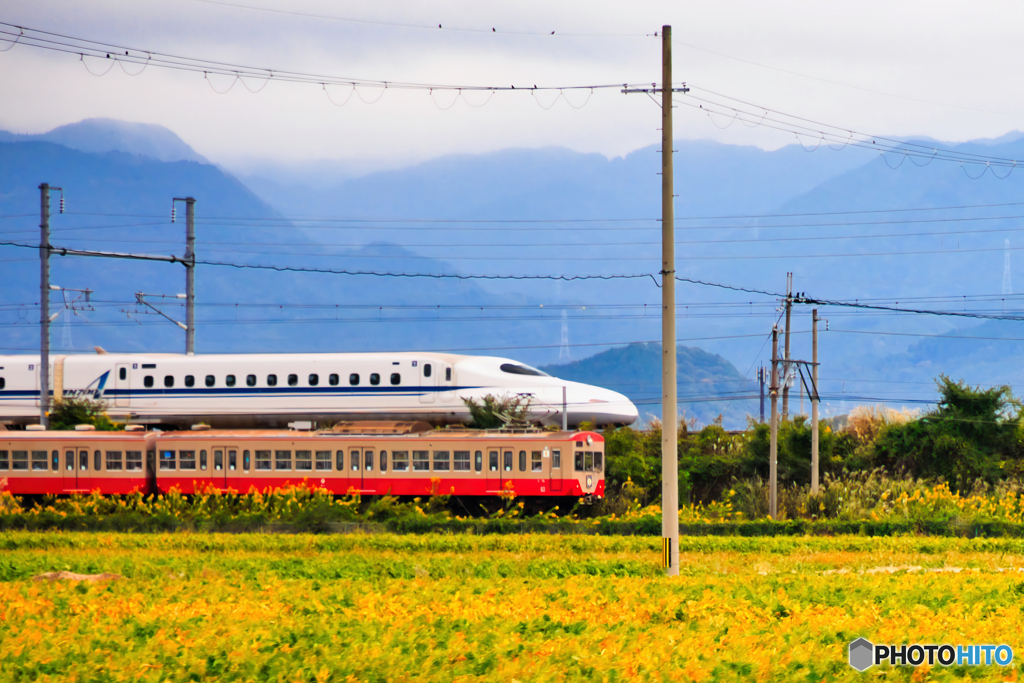 スタートダッシュ