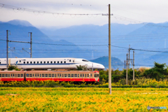 スタートダッシュ