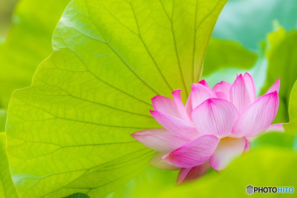 抱きしめて・・・