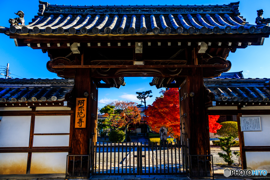 信長が眠る寺