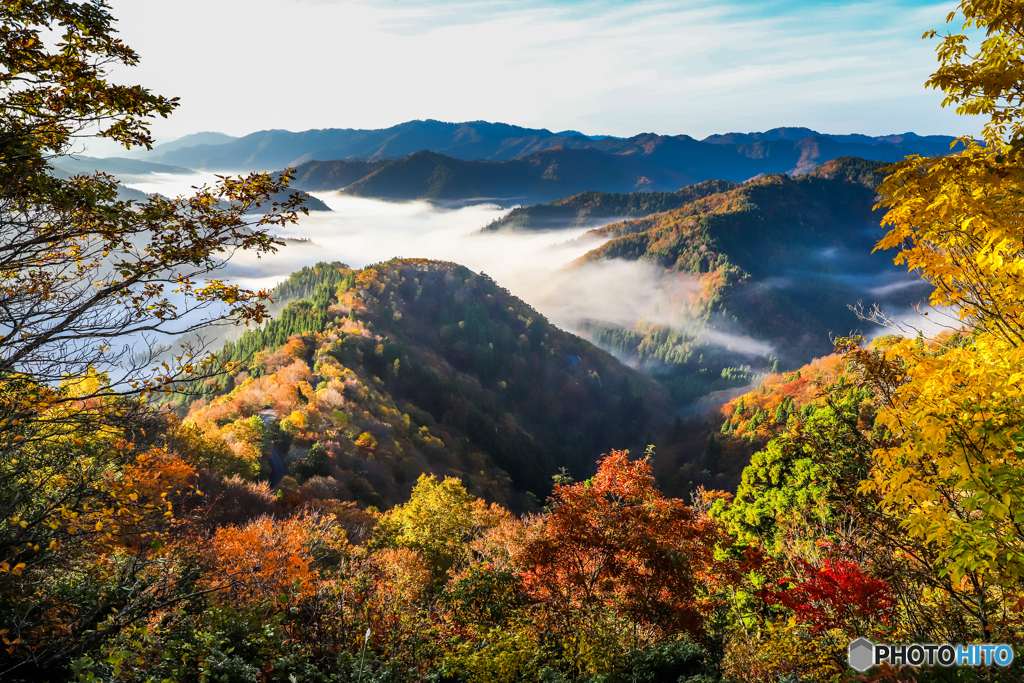 雲海と紅葉２０２１