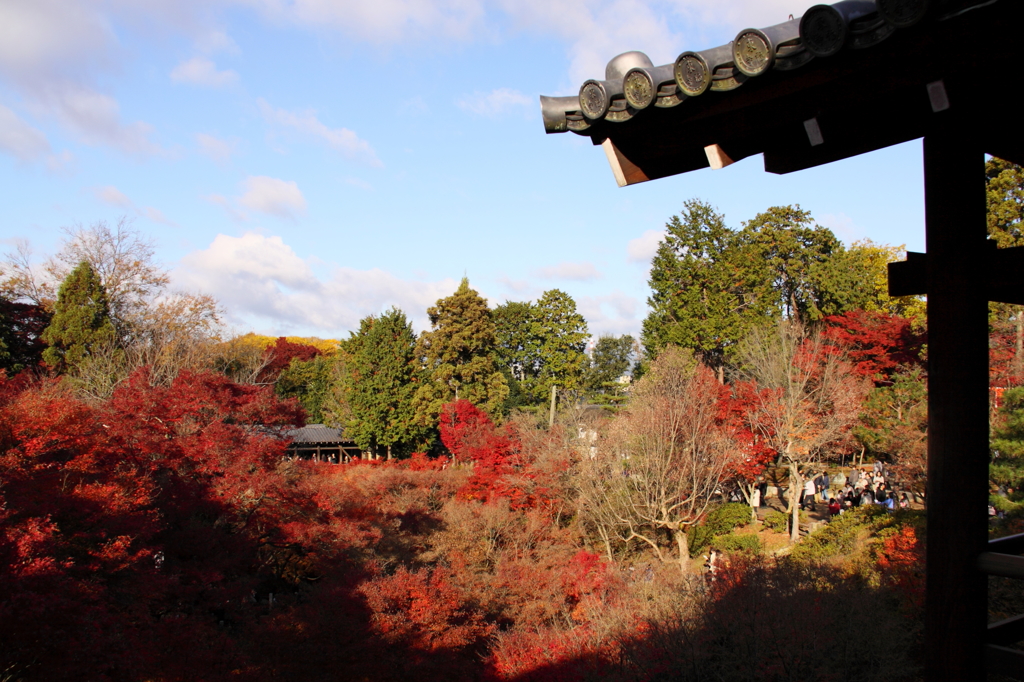 賑わう東福寺