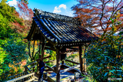 鐘が鳴るなり千光寺