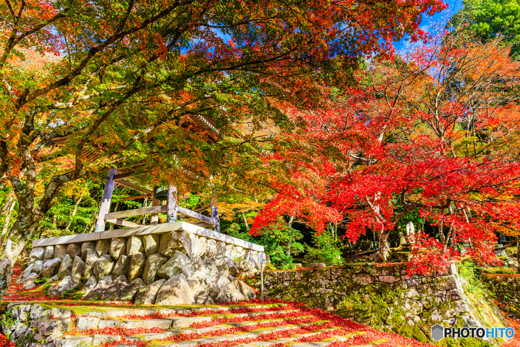 東光寺の紅葉