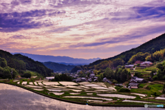 夕雲りの棚田