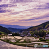 夕雲りの棚田
