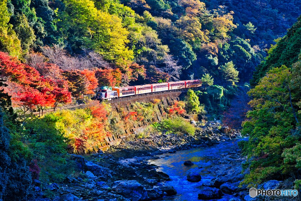 秋彩のトロッコ列車