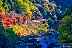 秋彩のトロッコ列車