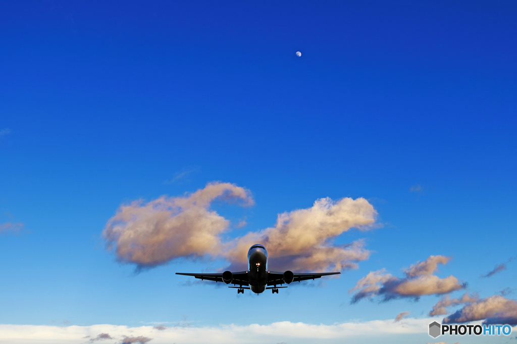 夏空を翔る
