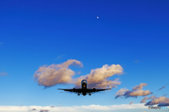 夏空を翔る