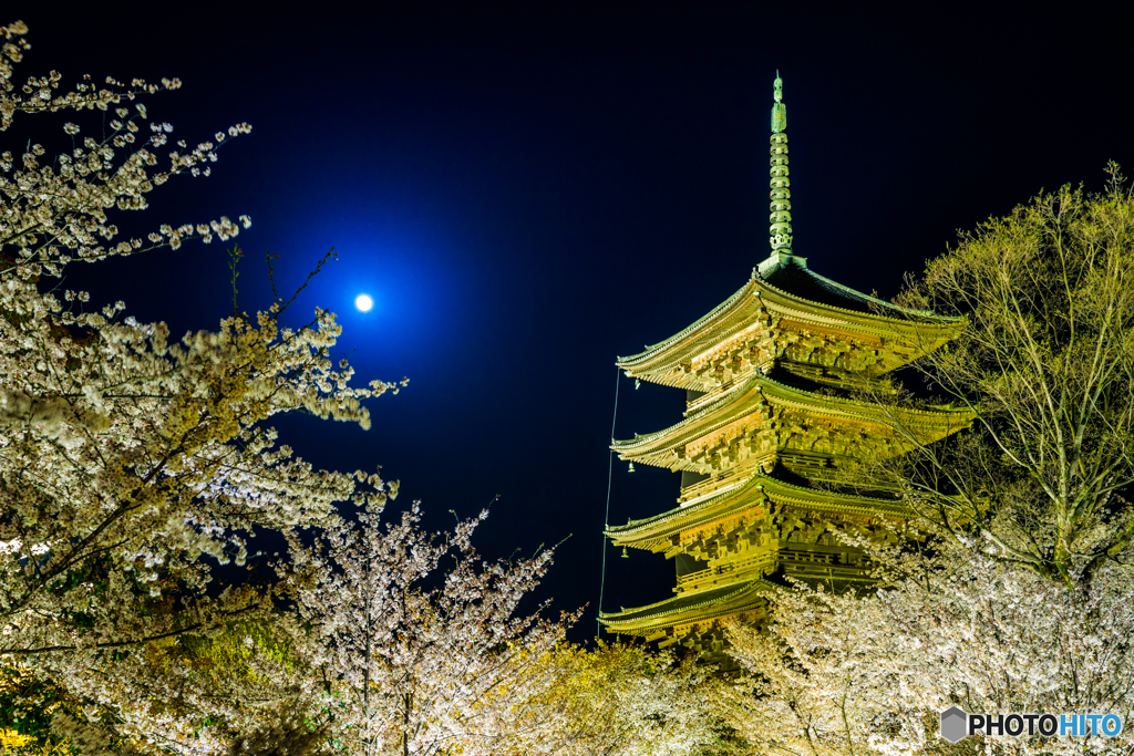 ブルームーンの東寺