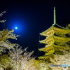 ブルームーンの東寺