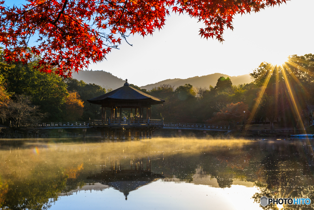 気嵐の鷺池