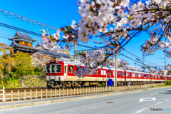 郡山城跡の春