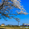 青空を走る鉄道