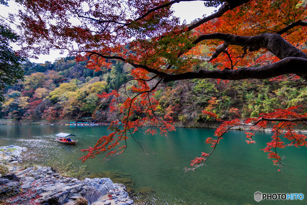 桂川の流れ
