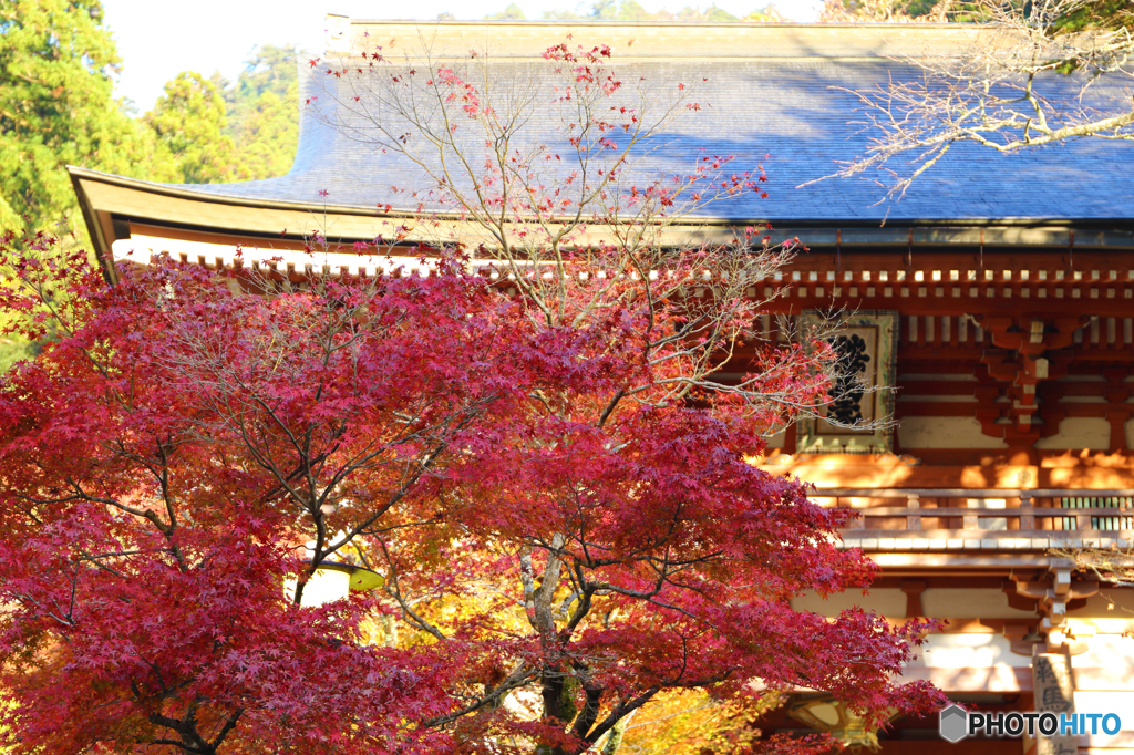 燃える鞍馬寺