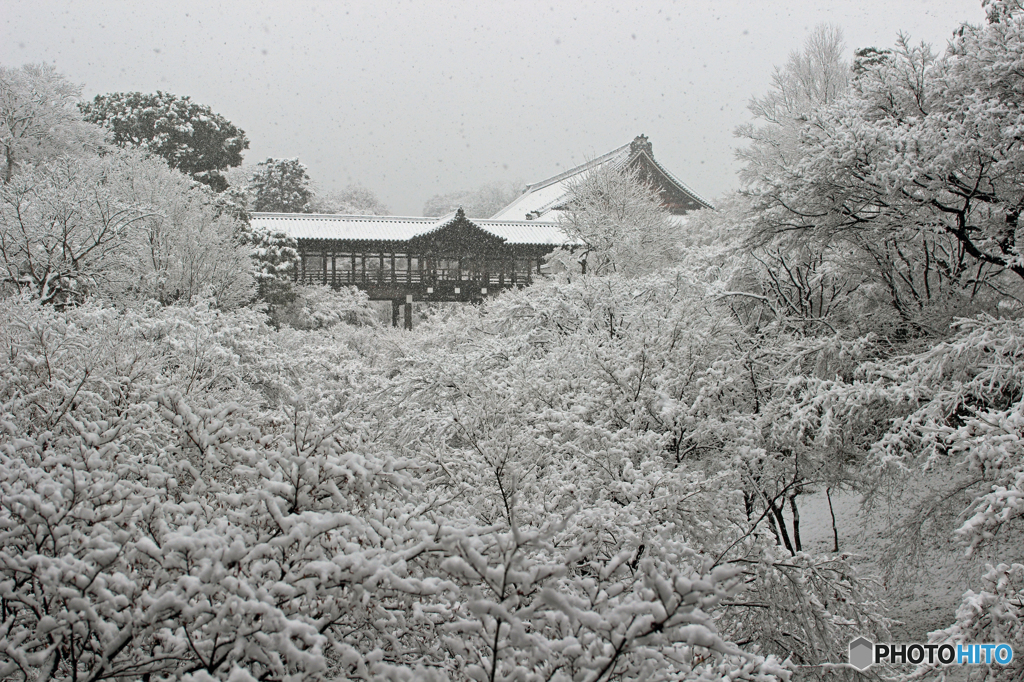 豪雪の通天橋