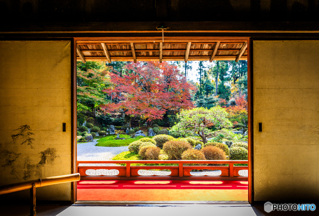 曼殊院の額縁庭園