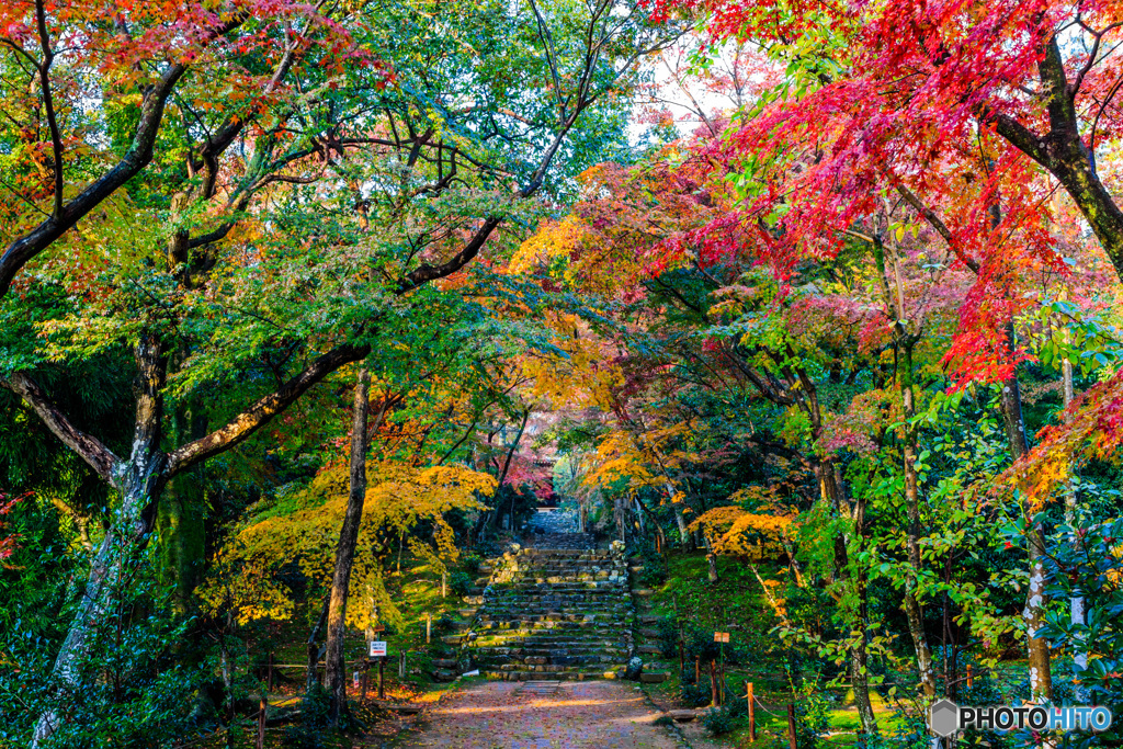 彩りの浄住寺