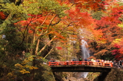 賑わう滝見橋