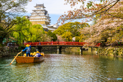 姫路城の残桜