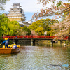 姫路城の残桜