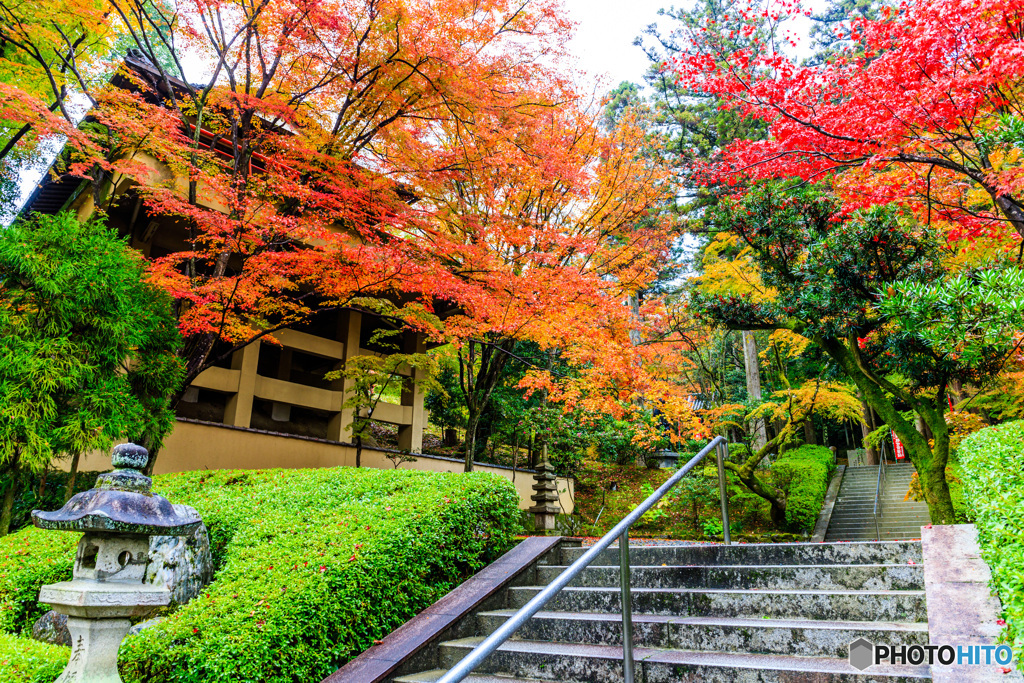 今熊野観音寺の紅葉